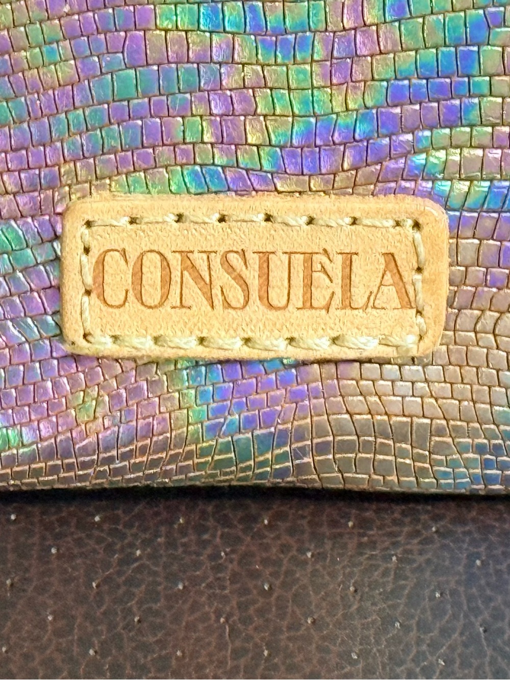 Consuela Gloria Iridescent Zipper Pouch - Picture 3 of 5